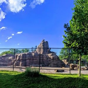 Meet your Posher, Haroon